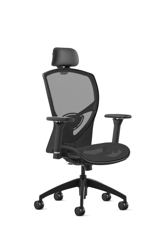 9to5 Seating Theory All Mesh High-Back 300 LB Executive Office Chair, Full Synchro Control, Height Adjustable and Pivot Arms