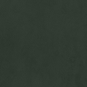 Dillon Black Alternative Leather Sample Swatch - Grade 2