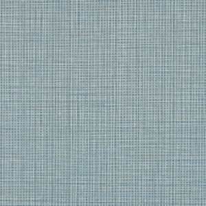 Stinson Raffia 2.0 Premier Sample Swatch from Kwalu
