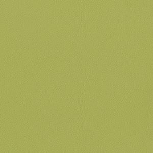 Dillon Apple Green Alternative Leather Sample Swatch - Grade 2