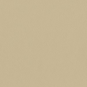 Dillon Buff Alternative Leather Sample Swatch - Grade 2