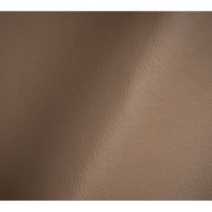 Premium All Taupe Leather Sample Swatch