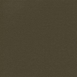 Douglass Independence 3 Thyme Is Money Vinyl Sample Swatch from Kwalu