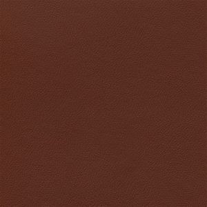Douglass Independence 3 Autumn Ridge Vinyl Sample Swatch from Kwalu