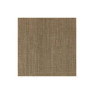 Frixion Earth Fabric Sample Swatch