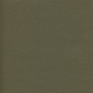 Douglass Independence 3 Eucalyptus Vinyl Sample Swatch from Kwalu