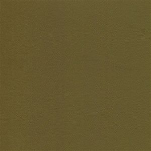 Douglass Independence 3 Leaf Me Be Vinyl Sample Swatch from Kwalu