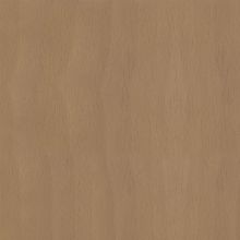 Indiana Furniture Wood Finish Sample - Fawn Oak