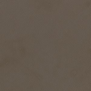 Dillon Java Alternative Leather Sample Swatch - Grade 2