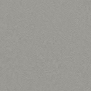 Dillon Lucid Alternative Leather Sample Swatch - Grade 2