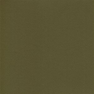 Douglass Independence 3 Dusty Olive Vinyl Sample Swatch from Kwalu