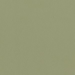 Dillon Sage Alternative Leather Sample Swatch - Grade 2